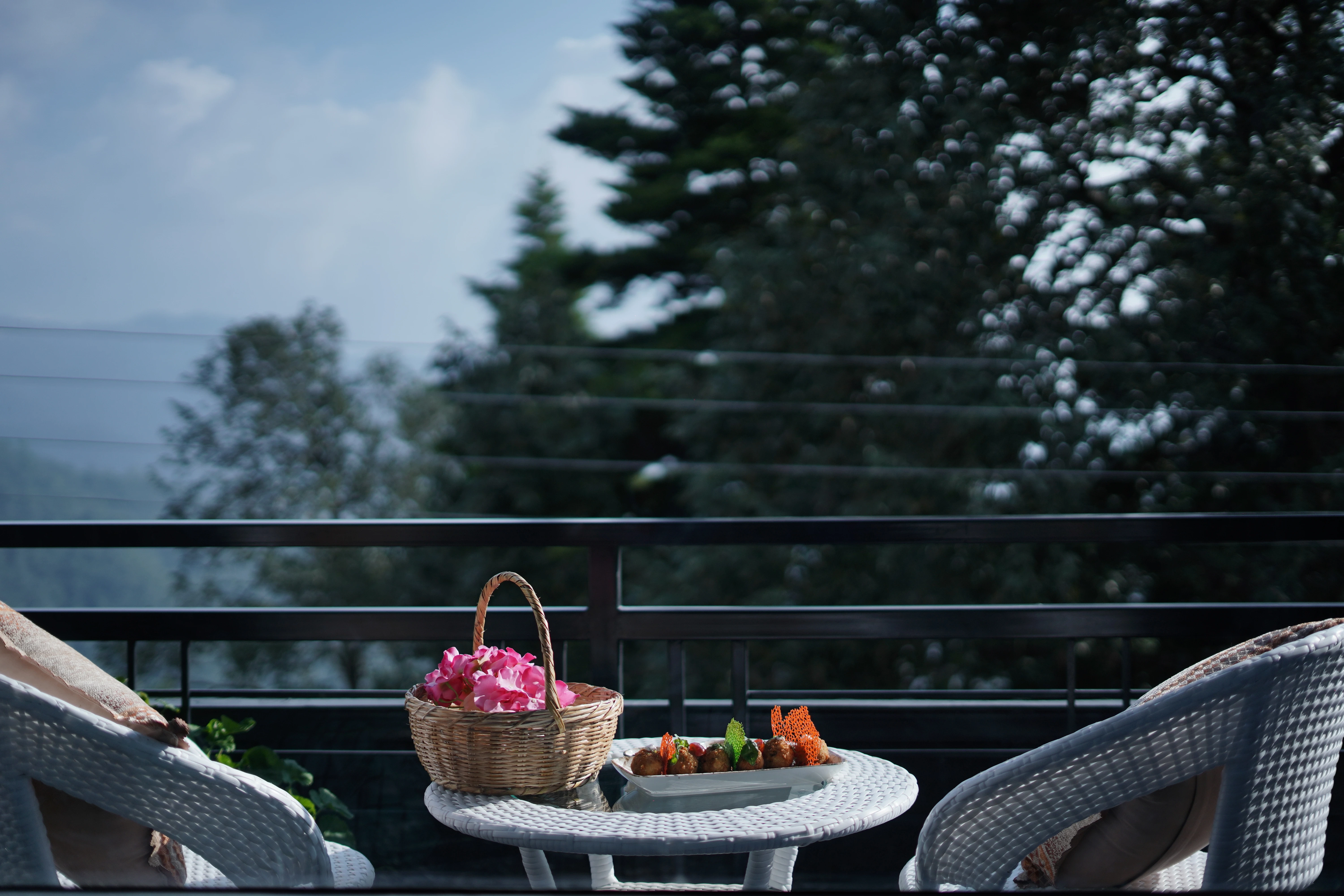 Ambience Best restaurant in mukteshwar